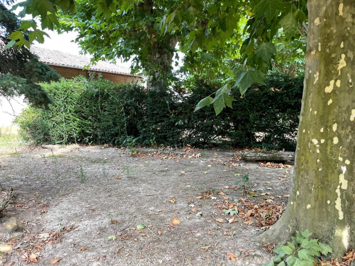 Le Clos Des Cadots - Chambre Chaintré Exterior photo